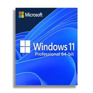 Microsoft Windows 11 Professional 64-Bit (Digital License / USB Retail)